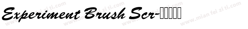 Experiment Brush Scr字体转换